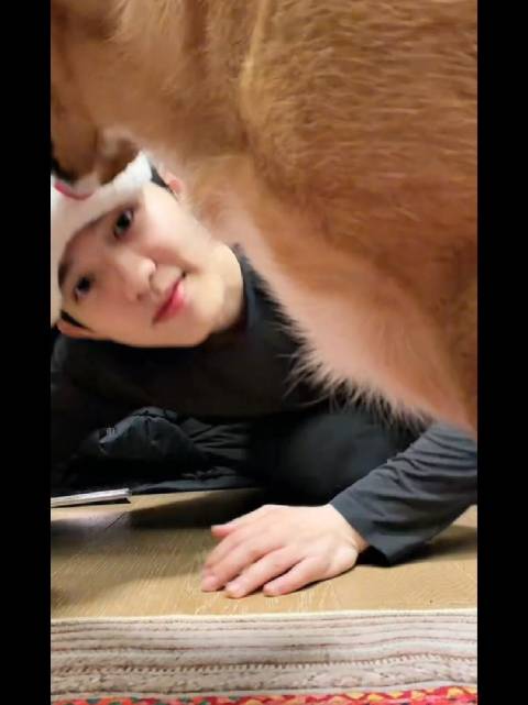 武磊双球归来302天后再展锋芒，李昊红包梗引爆